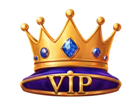 VIP Program